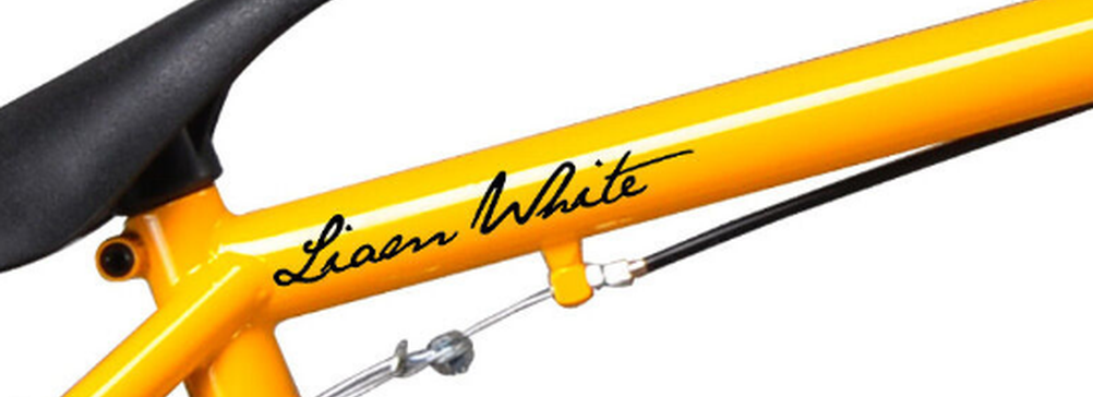 Scritte adesive per bici - nome Liam White stampato sul telaio